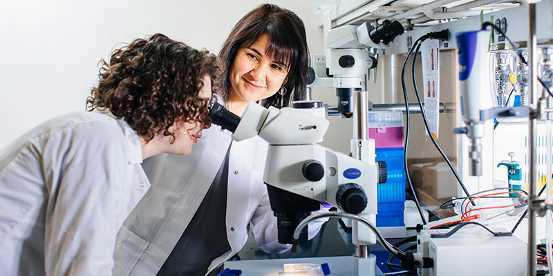 Alison Killilea, PhD